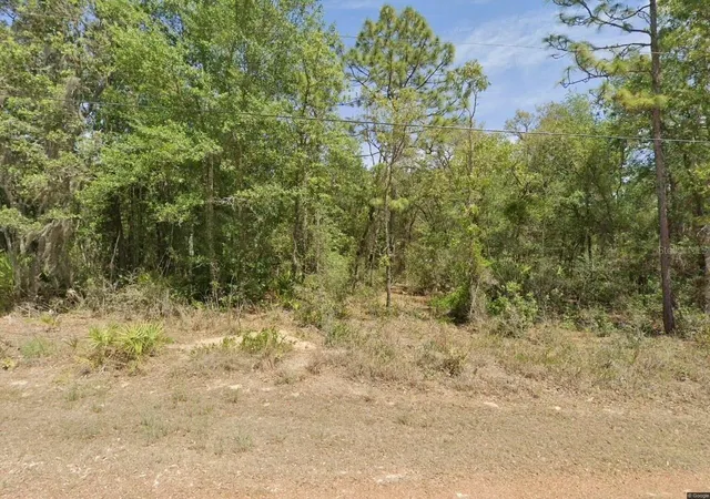 Homes for sale in Homosassa, FL | 6575 W Pershing Dr, Homosassa, FL 34448 | MLS# W7886374