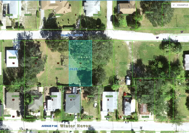 3rd image of Palmetto Ave Ne, Winter Haven, FL 33881 | MLS# P4938913