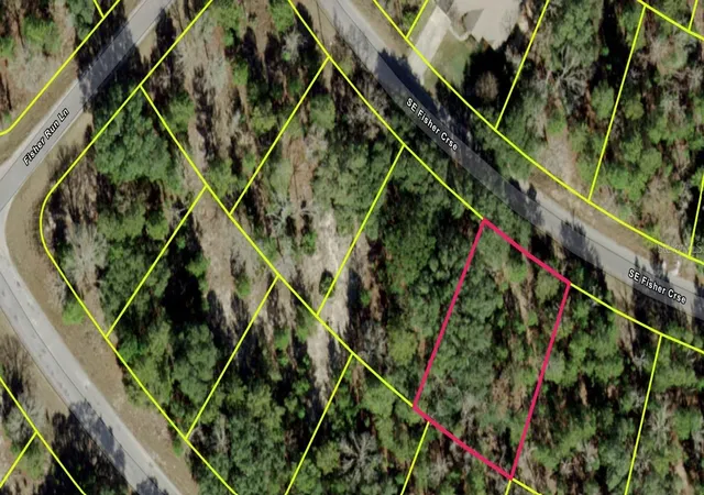 3rd image of Fisher Course, Ocklawaha, FL 32179 | MLS# TB8515328