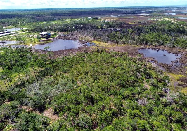 Photo 1 of Land for sale at Tbd Sw 276 Avenue, Steinhatchee, FL 32359 | MLS# GC540886 | Listing updated on 2026-10-19