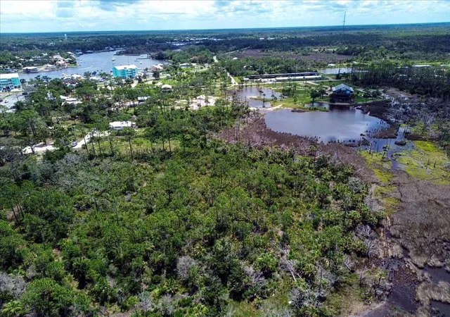 Photo 2 of Land for sale at Tbd SW 276 Avenue, Steinhatchee, FL 32359 | MLS# GC540886 | Listing updated on 2026-10-19