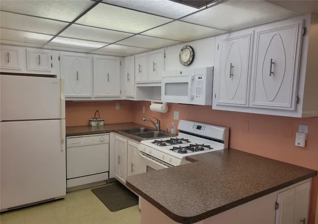 Listing Photo 3 - Condo for sale in building located at 9950 62Nd Ter N, St. Petersburg, FL 33708 - Unit #417