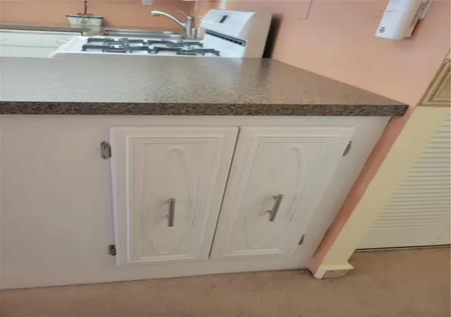 Listing Photo 5 - Condo for sale in building located at 9950 62Nd Ter N, St. Petersburg, FL 33708 - Unit #417