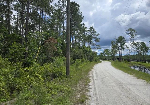 Photo 3 of Land for sale at 1135 Omega Ranch Rd #4&5, New Smyrna Beach, FL 32168 | MLS# O6413477 | Listing updated on 2026-08-13