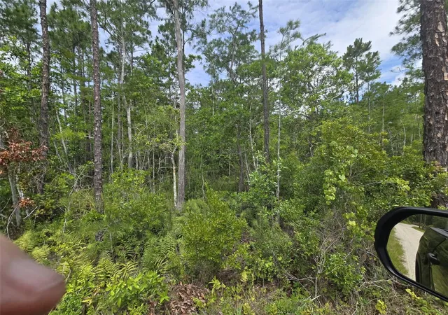 Photo 3 of Land for sale at 1135 Omega Ranch Rd #4&5, New Smyrna Beach, FL 32168 | MLS# O6413477 | Listing updated on 2026-08-13