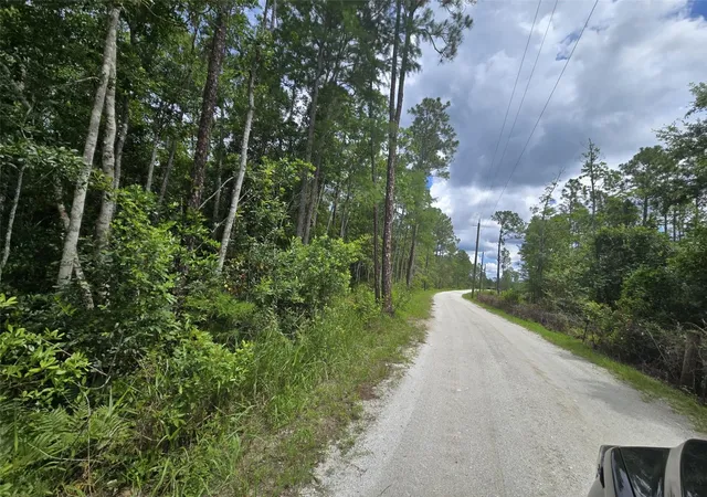 Photo 4 of Land for sale at 1135 Omega Ranch Rd #4&5, New Smyrna Beach, FL 32168 | MLS# O6413477 | Listing updated on 2026-08-13