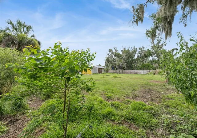 Homes for sale in Mulberry, FL | 825 Cook Rd, Mulberry, FL 33860 | MLS# L4962448