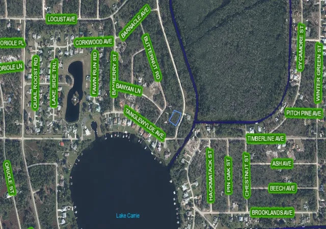 3rd image of 1104 Greenfield St, Lake Placid, FL 33852 | MLS# A4695875