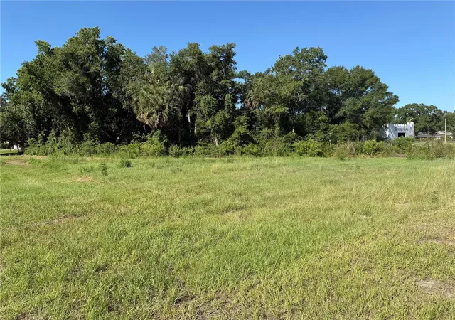 Photo 1 of Land for sale at Dossey Rd S, Lakeland, FL 33811 | MLS# L4962453 | Listing updated on 2026-06-08