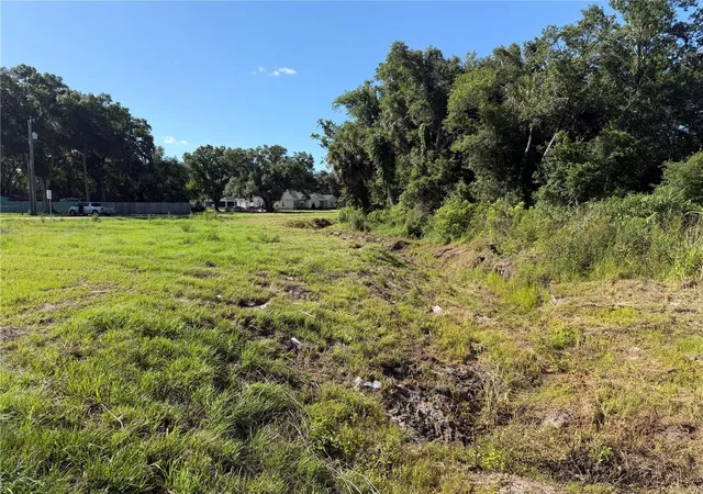 Photo 10 of Land for sale at Dossey Rd S, Lakeland, FL 33811 | MLS# L4962453 | Listing updated on 2026-06-08