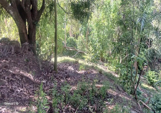 Homes for sale in Rincon, PR | Carr 414 Km 13 Int, Rincon, PR 00677 | MLS# PR9121830
