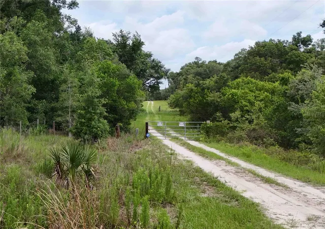 16th image of 5501 Cemetery Rd, Mount Dora, FL 32757 | MLS# O6413576