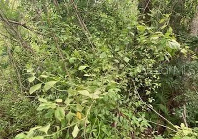 Photo 1 of Land for sale at Sweetwater Trl, Kissimmee, FL 34747 | MLS# S5151237 | Listing updated on 2026-06-04