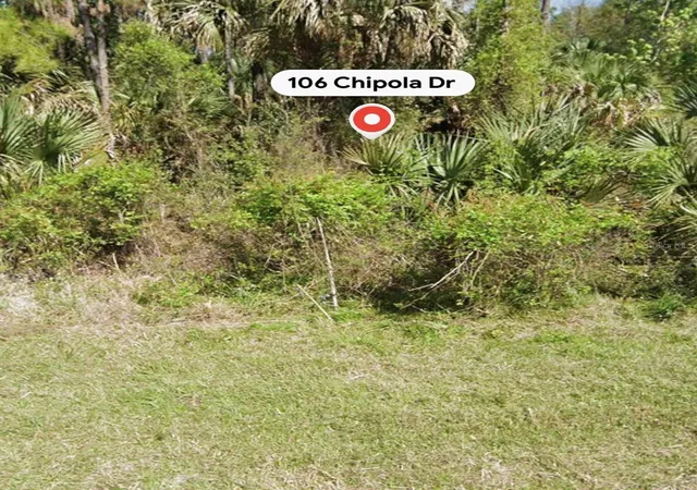 Homes for sale in Georgetown, FL | 106 Chipola Dr, Georgetown, FL 32139 | MLS# A4695933