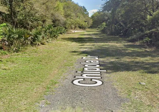 Homes for sale in Georgetown, FL | 106 Chipola Dr, Georgetown, FL 32139 | MLS# A4695933