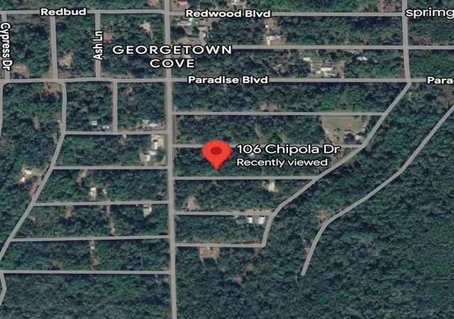 Homes for sale in Georgetown, FL | 106 Chipola Dr, Georgetown, FL 32139 | MLS# A4695933
