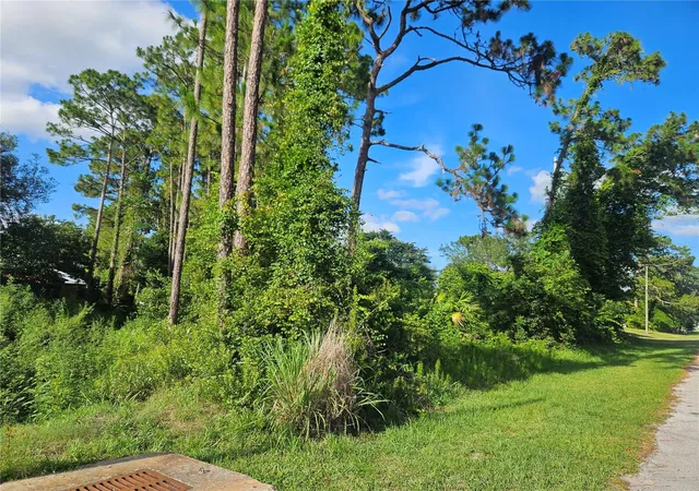 Photo 3 of Land for sale at 2318 Whitehorse St, Deltona, FL 32738 | MLS# V4949454 | Listing updated on 2026-07-19
