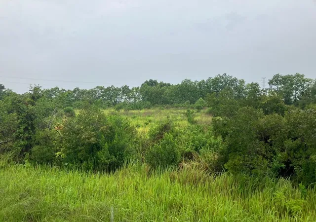 5th image of 760 S Warfield Rd, Avon Park, FL 33825 | MLS# A4695969