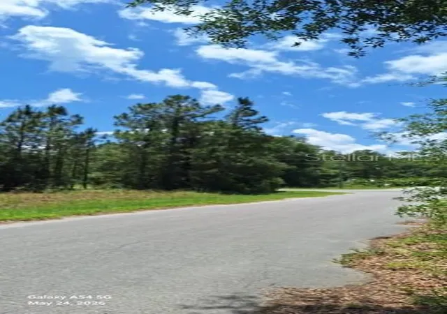 3rd image of Lot 15 Ficher Ln, Ocklawaha, FL 32179 | MLS# A4695970