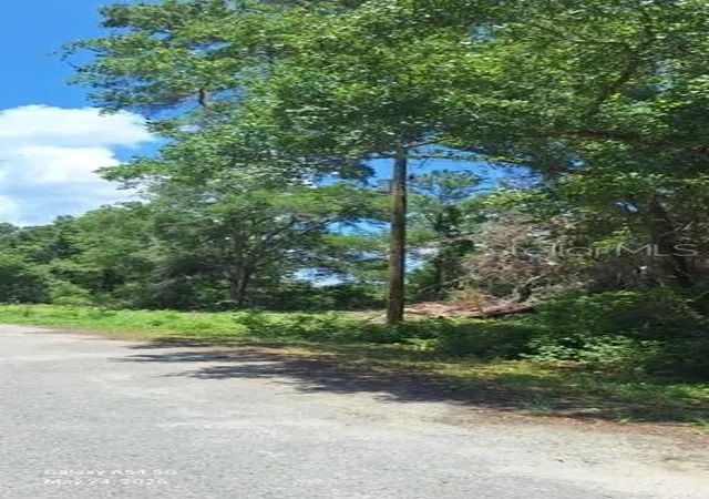 5th image of Lot 15 Ficher Ln, Ocklawaha, FL 32179 | MLS# A4695970