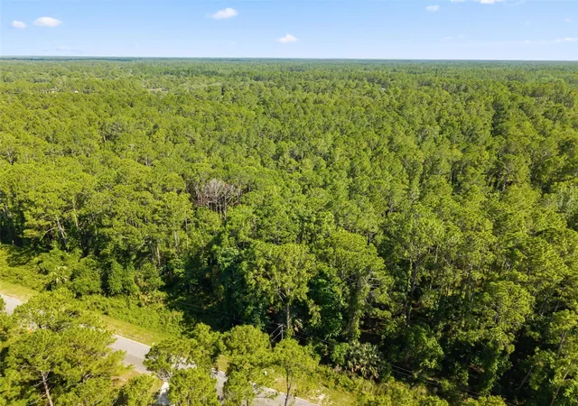 Photo 2 of Land for sale at Apricot Ave, Eustis, FL 32736 | MLS# O6413791 | Listing updated on 2026-10-05