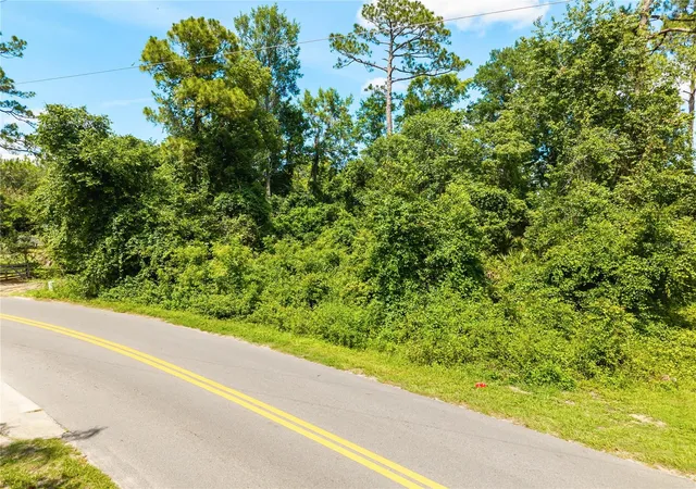 Homes for sale in Paisley, FL | Fishermans Rd, Paisley, FL 32767 | MLS# O6413800