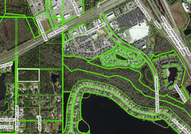4th image of 0 Altamonte Ln, Odessa, FL 33556 | MLS# W7886403