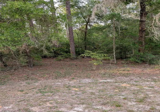 5th image of 15475 Sw 36th St, Ocala, FL 34481 | MLS# OM726026