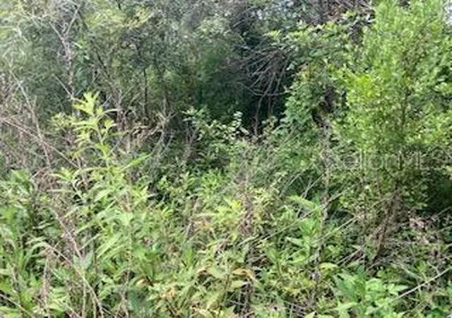 Photo 1 of Land for sale at Sweetwater Trl, Kissimmee, FL 34747 | MLS# S5151287 | Listing updated on 2026-06-05
