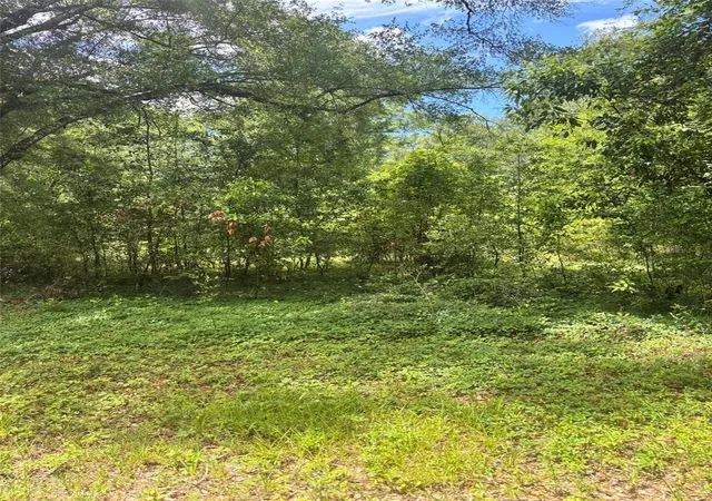 Homes for sale in Fanning Springs, FL | 8230 Nw 166th St, Fanning Springs, FL 32693 | MLS# GC540925