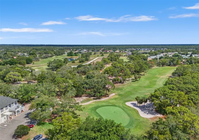 80th image of 8420 Maybelle Dr, Weeki Wachee, FL 34613 | MLS# W7886419