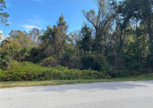3rd image of 31004 Secretariat Trl, Leesburg, FL 34748 | MLS# G5113345