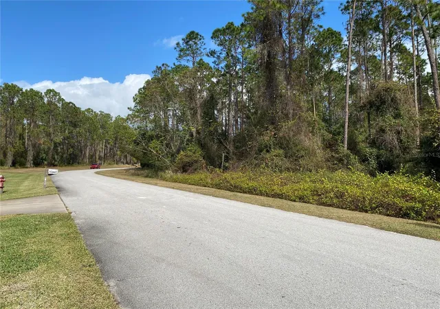 4th image of 31004 Secretariat Trl, Leesburg, FL 34748 | MLS# G5113345
