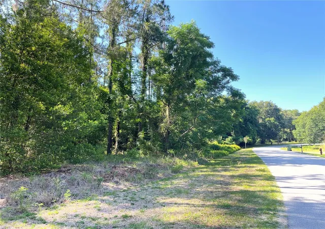 9th image of 31004 Secretariat Trl, Leesburg, FL 34748 | MLS# G5113345