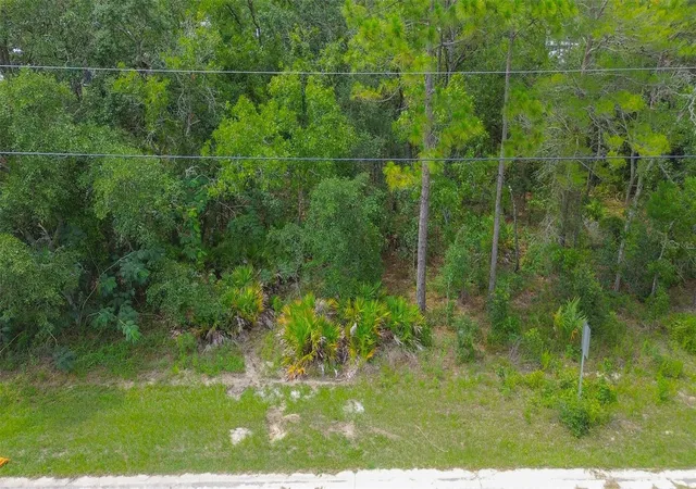 Photo 3 of Land for sale at 6859 W Merrivale Ln, Homosassa, FL 34446 | MLS# TB8515894 | Listing updated on 2026-09-01
