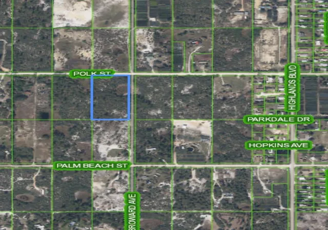 11th image of 125 Polk St, Lake Placid, FL 33852 | MLS# O6414029