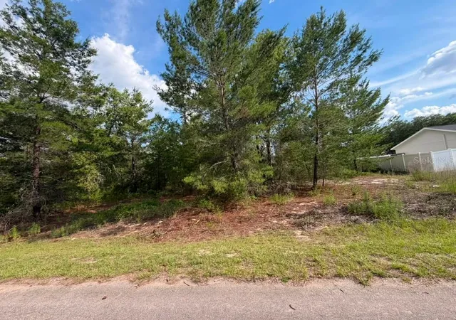 1st image of 22 Fisher Run Ln, Ocklawaha, FL 32179 | MLS# O6414059