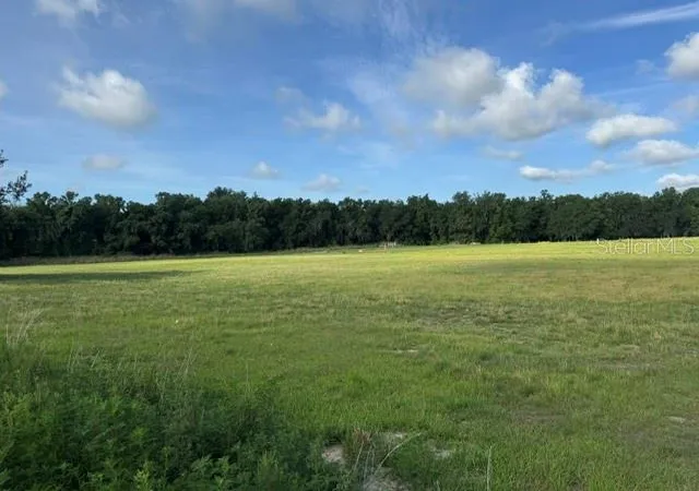 Homes for sale in Fort Meade, FL | 701 Brooke Rd, Fort Meade, FL 33841 | MLS# B4902270