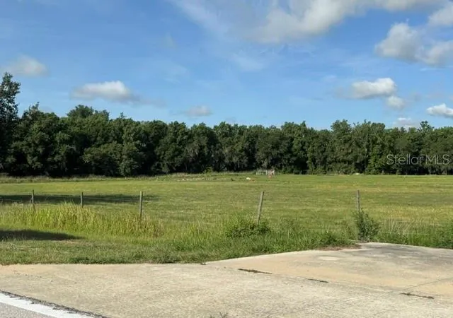 Homes for sale in Fort Meade, FL | 701 Brooke Rd, Fort Meade, FL 33841 | MLS# B4902270