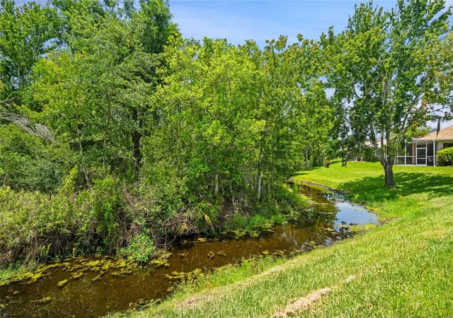 23rd image of 7307 Cleopatra Dr, Land O Lakes, FL 34637 | MLS# W7886436