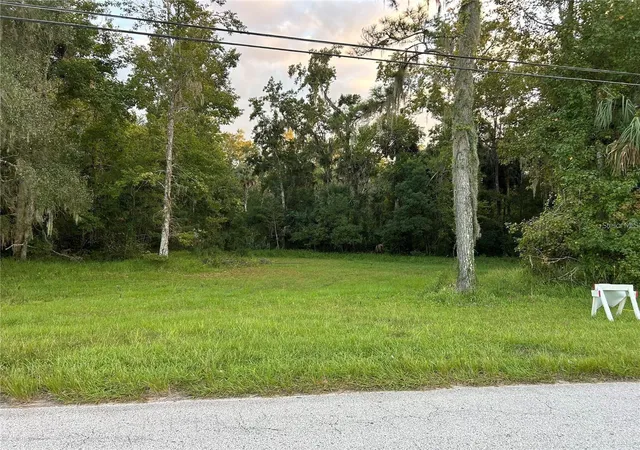 1st image of 24916 Butler St, Astor, FL 32102 | MLS# R4911388