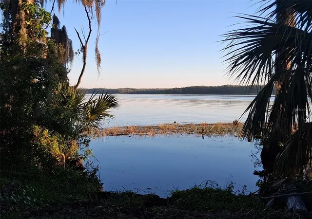 56th image of 3351 Stonehaven Ct W #C, Palm Harbor, FL 34684 | MLS# TB8516005