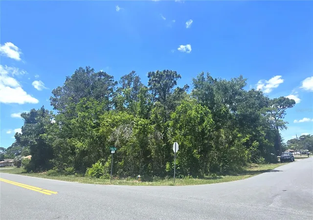 2nd image of Dunkirk Rd, Spring Hill, FL 34608 | MLS# W7886453