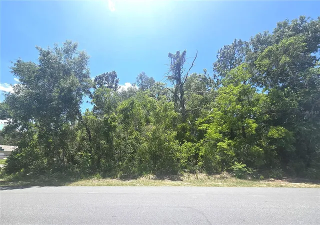 3rd image of Dunkirk Rd, Spring Hill, FL 34608 | MLS# W7886453