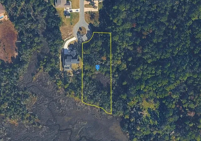 Homes for sale in Fernandina Beach, FL | 95375 Brookhill Pl, Fernandina Beach, FL 32034 | MLS# A4696131