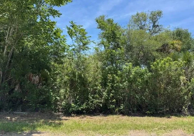 Photo 1 of Land for sale at 14427 Molla Ave, Port Charlotte, FL 33953 | MLS# A4696156 | Listing updated on 2026-06-18