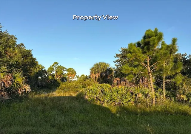 Photo 2 of Land for sale at 4387 Schneider St, Port Charlotte, FL 33981 | MLS# A4696160 | Listing updated on 2026-06-08