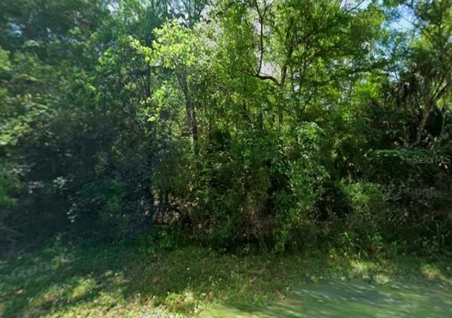 Photo 3 of Land for sale at 11924 W Deodar St, Crystal River, FL 34428 | MLS# OM726124 | Listing updated on 2026-06-18