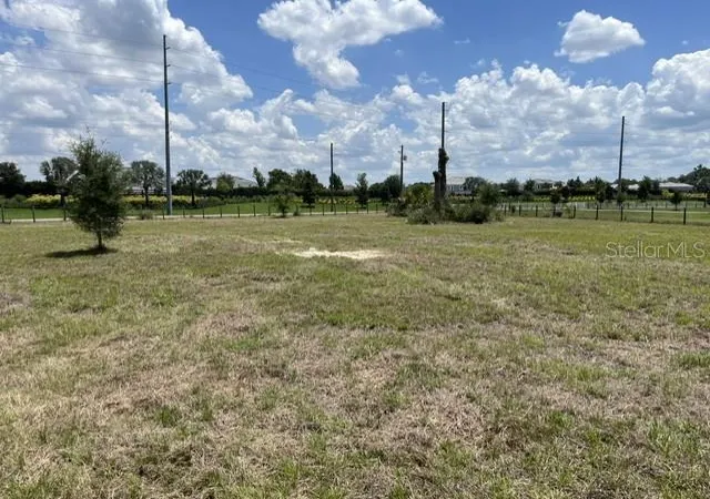 1st image of 15110 Patterson Rd, Odessa, FL 33556 | MLS# TB8516348