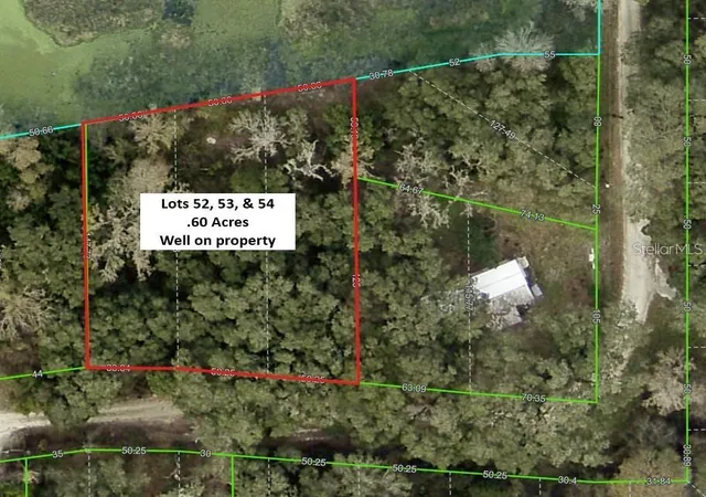 Homes for sale in Dade City, FL | Tannahill St, Dade City, FL 33523 | MLS# TB8516374